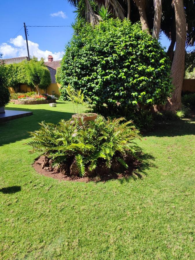 Finca El Trazo Такоронте Екстер'єр фото