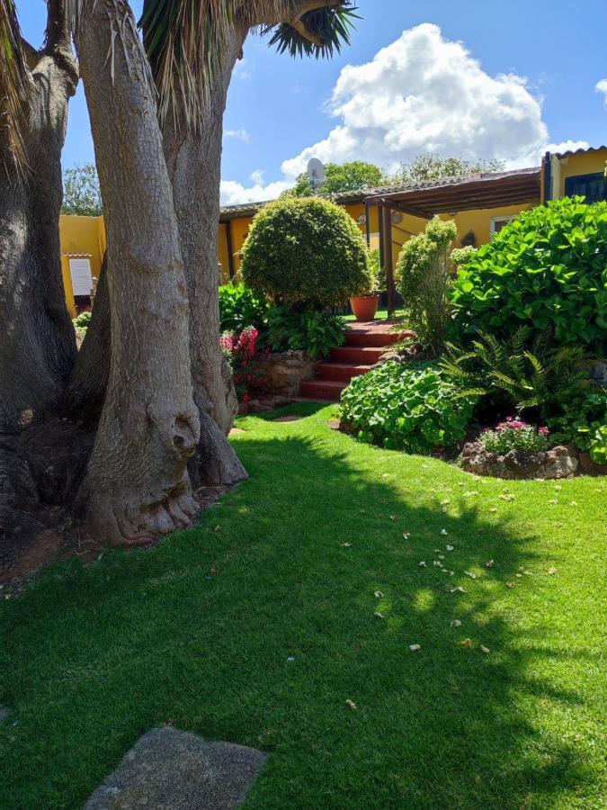 Finca El Trazo Такоронте Екстер'єр фото