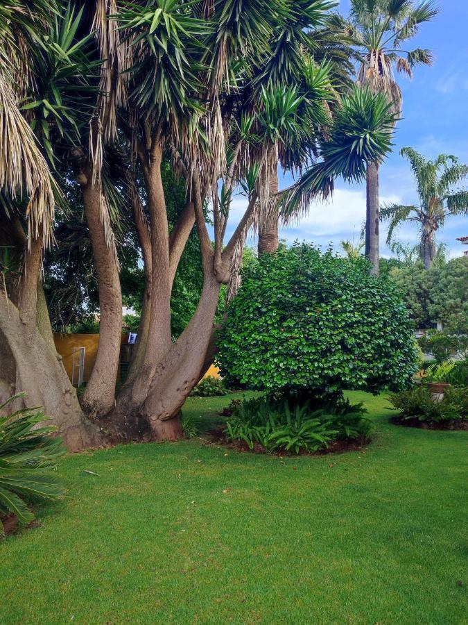 Finca El Trazo Такоронте Екстер'єр фото